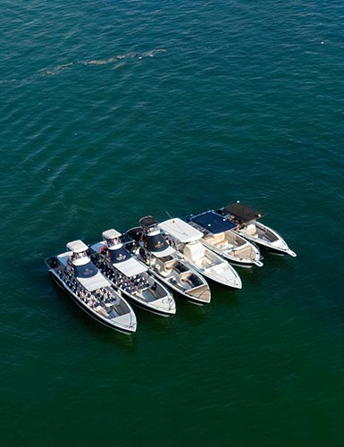 charter-islas-rosario03